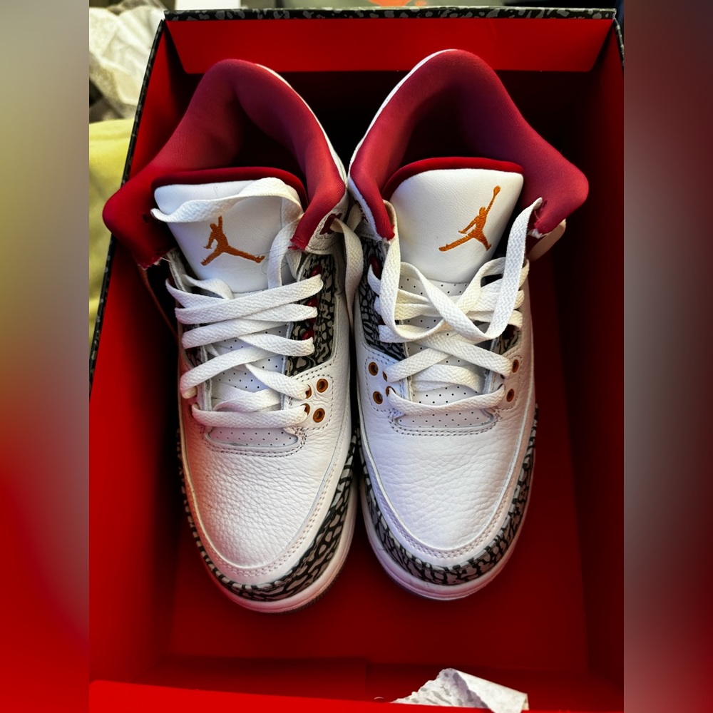 Air Jordan 3 Retro Cardinal Red